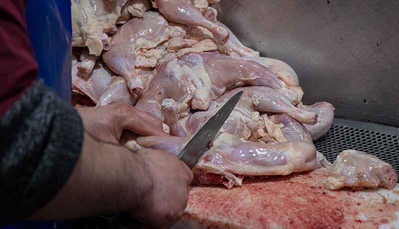 مرغ در بازار تهران آرام گرفت