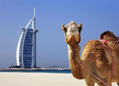 16 دلیلی که ثابت می نماید دبی برترین جای کره زمین است ، فروش بلیط هواپیما به دبی