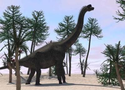عکس ، کشف شگفت انگیز در حیاط پشتی خانه لیسبون: این بزرگترین دایناسور اروپاست!