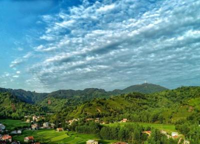 روستای سطلسر لاهیجان قطب کشت چای در شمال ایران